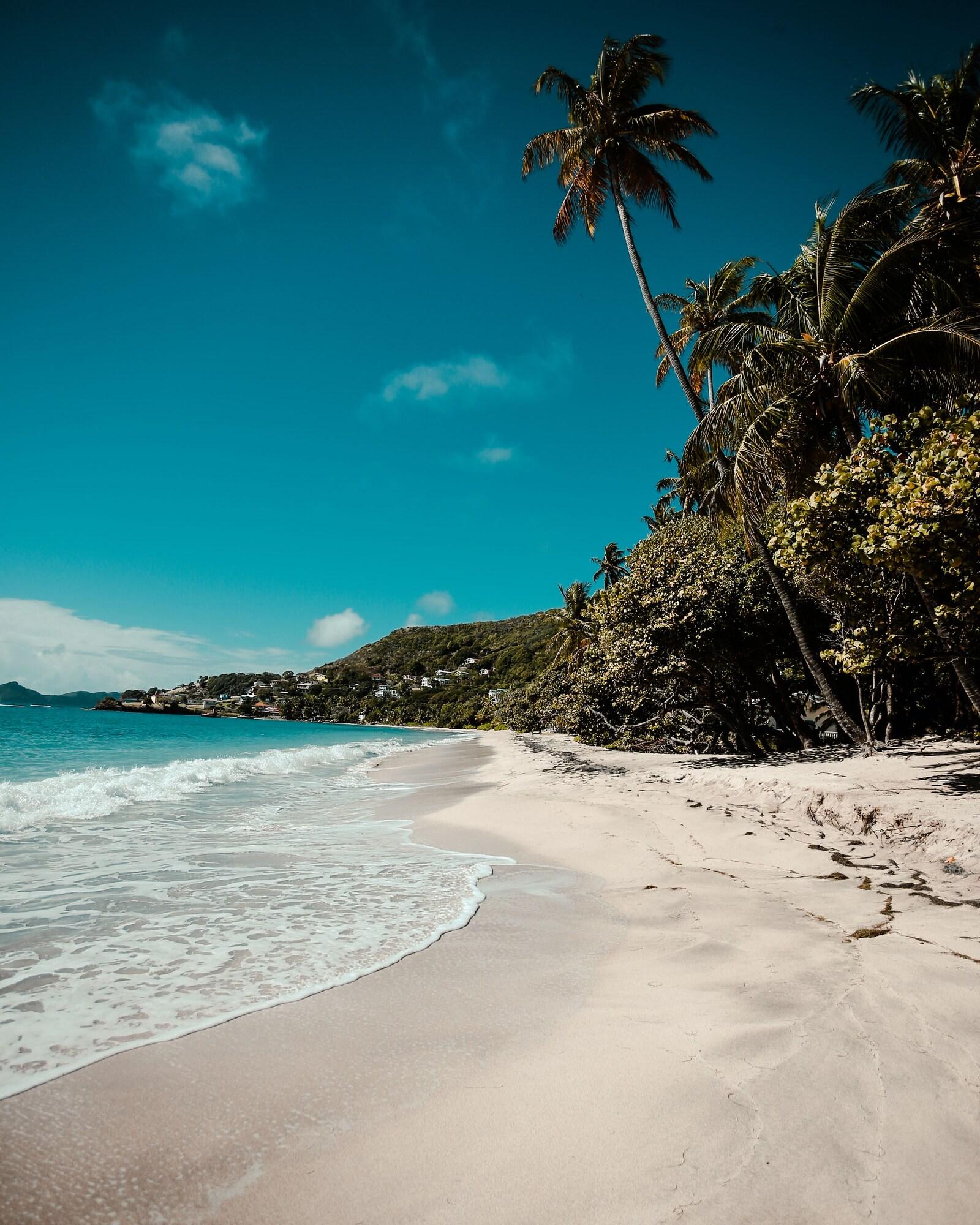 Bequia Beach Port Elizabeth Eksteriør bilde